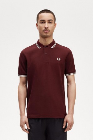 Polos Fred Perry M3600 Homme Oxblood / Ecru / Ecru | EFRHC84396