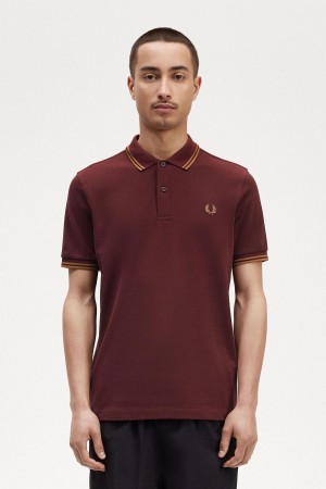 Polos Fred Perry M3600 Homme Oxblood / Shaded Stone / Shaded Stone | LFRSX81164